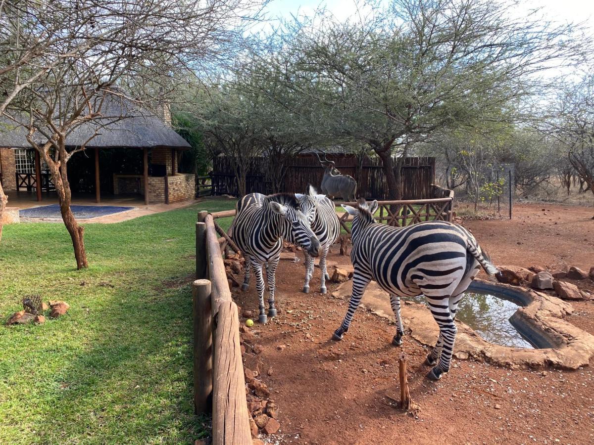 Genet House Holiday Home Marloth Park Eksteriør billede