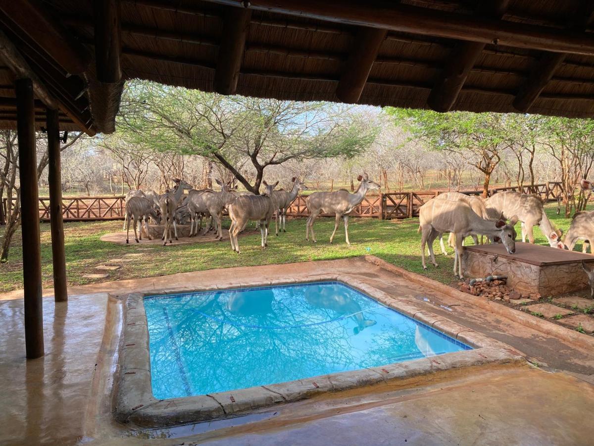 Genet House Holiday Home Marloth Park Eksteriør billede